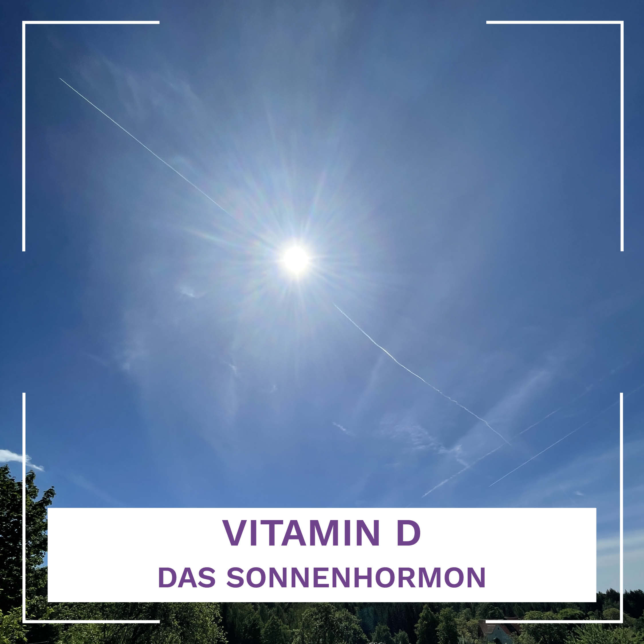 Vitamin D – das Sonnenhormon