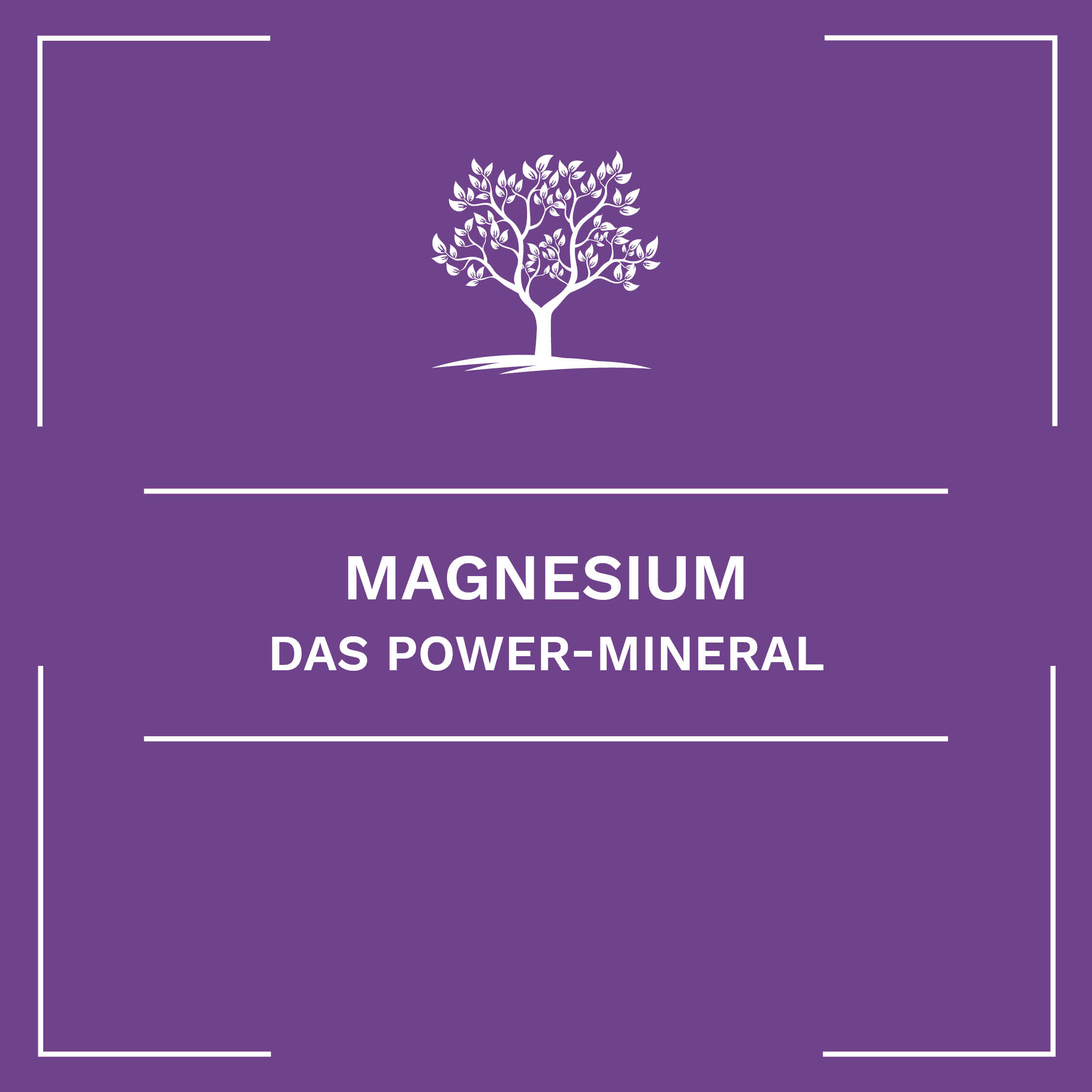 Magnesium – das Power-Mineral