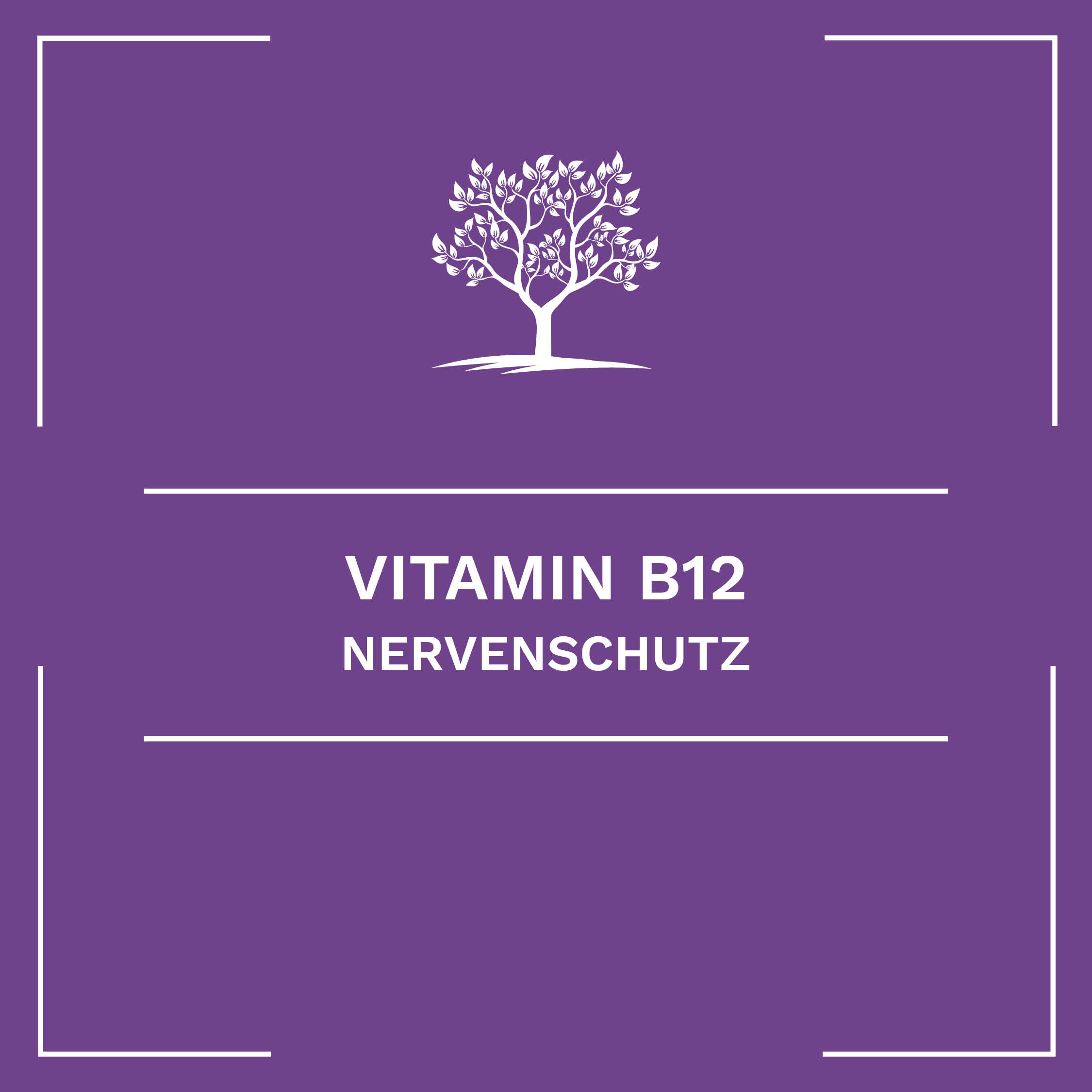 Vitamin B12 – Nervenschutz
