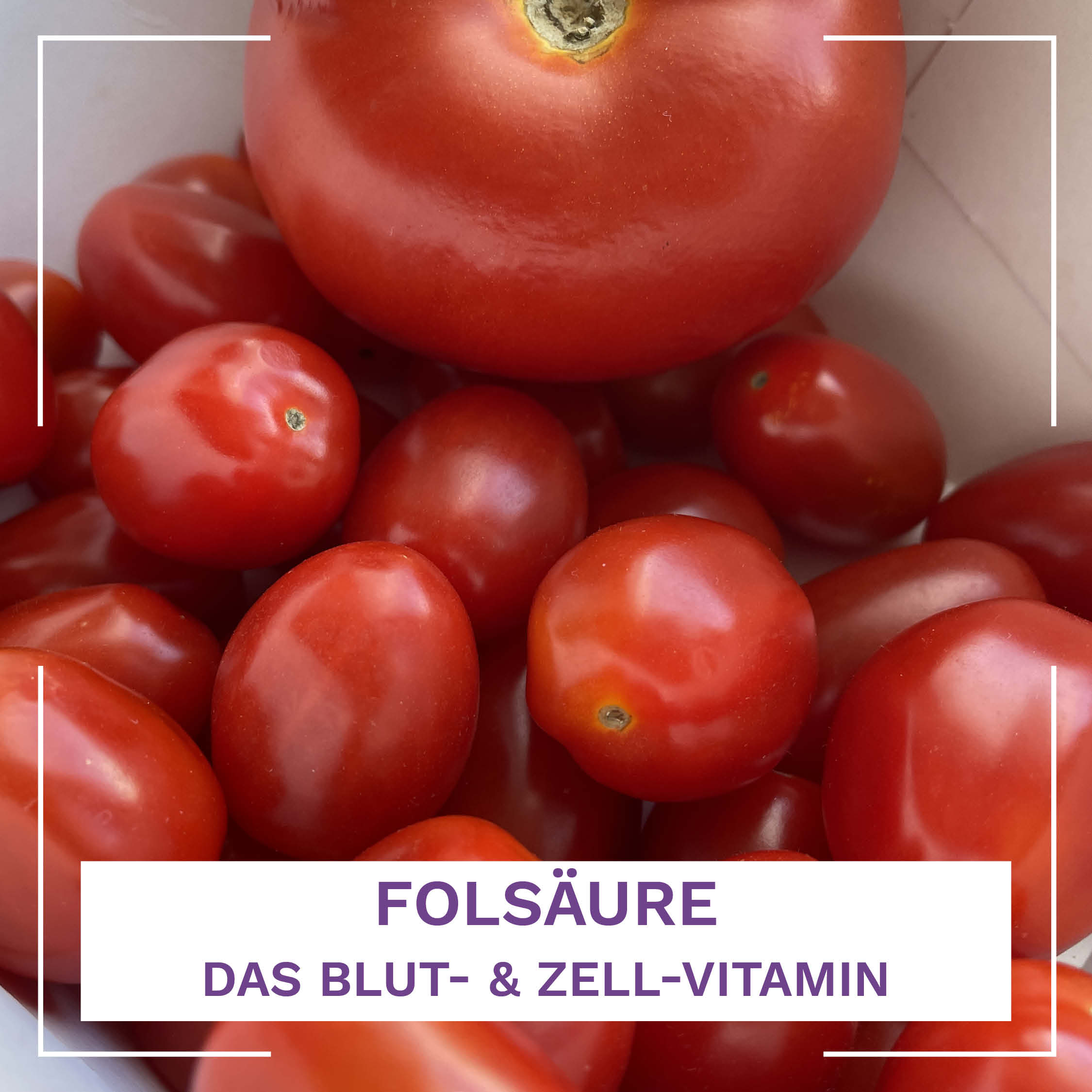 Folsäure – das Blut- und Zell-Vitamin