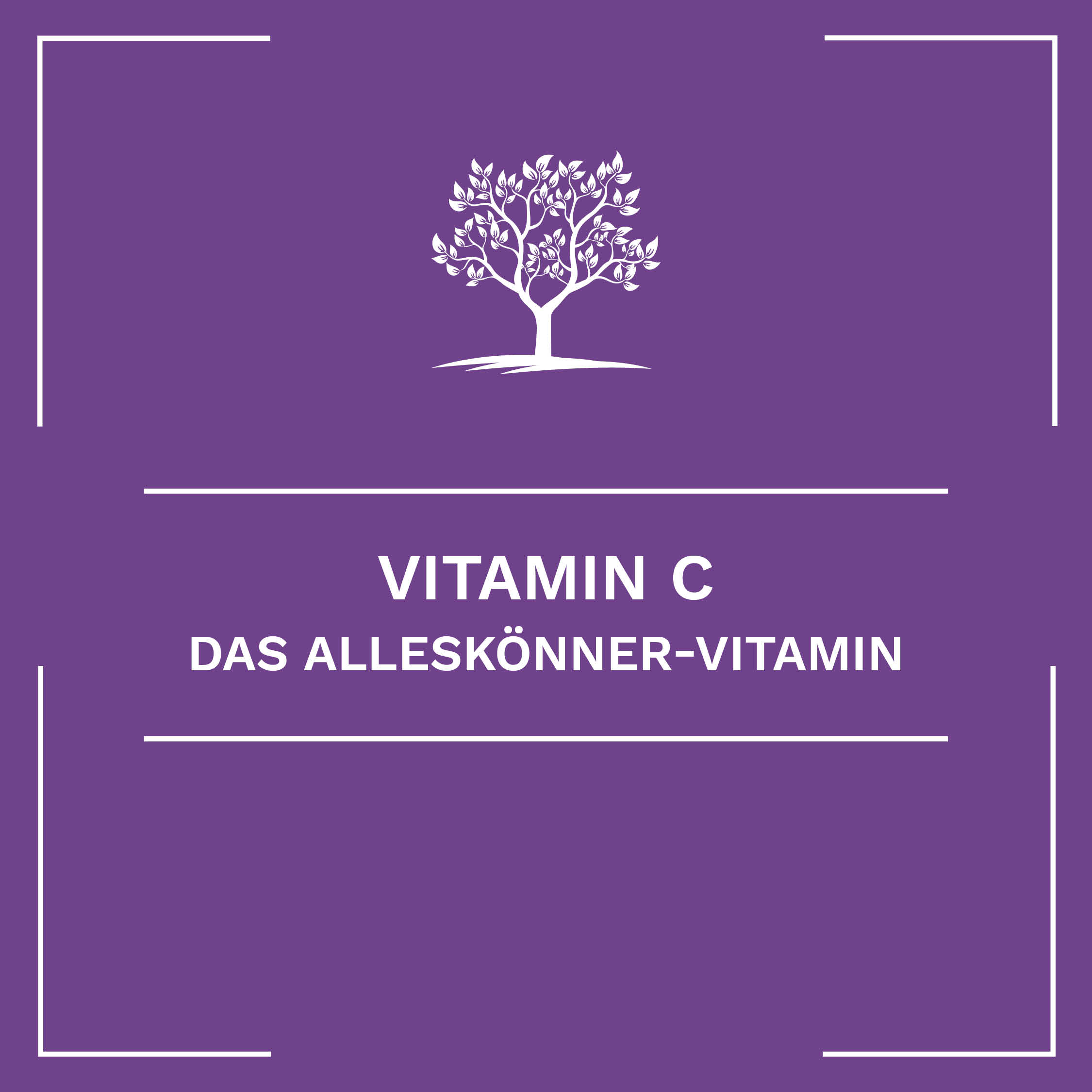 Vitamin C – das Alleskönner-Vitamin
